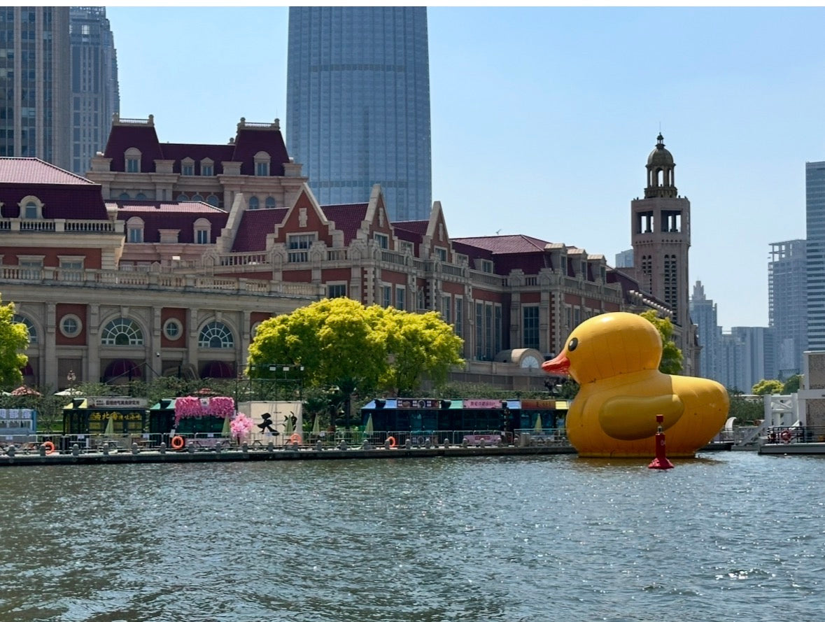 Tianjin China Factory Visit