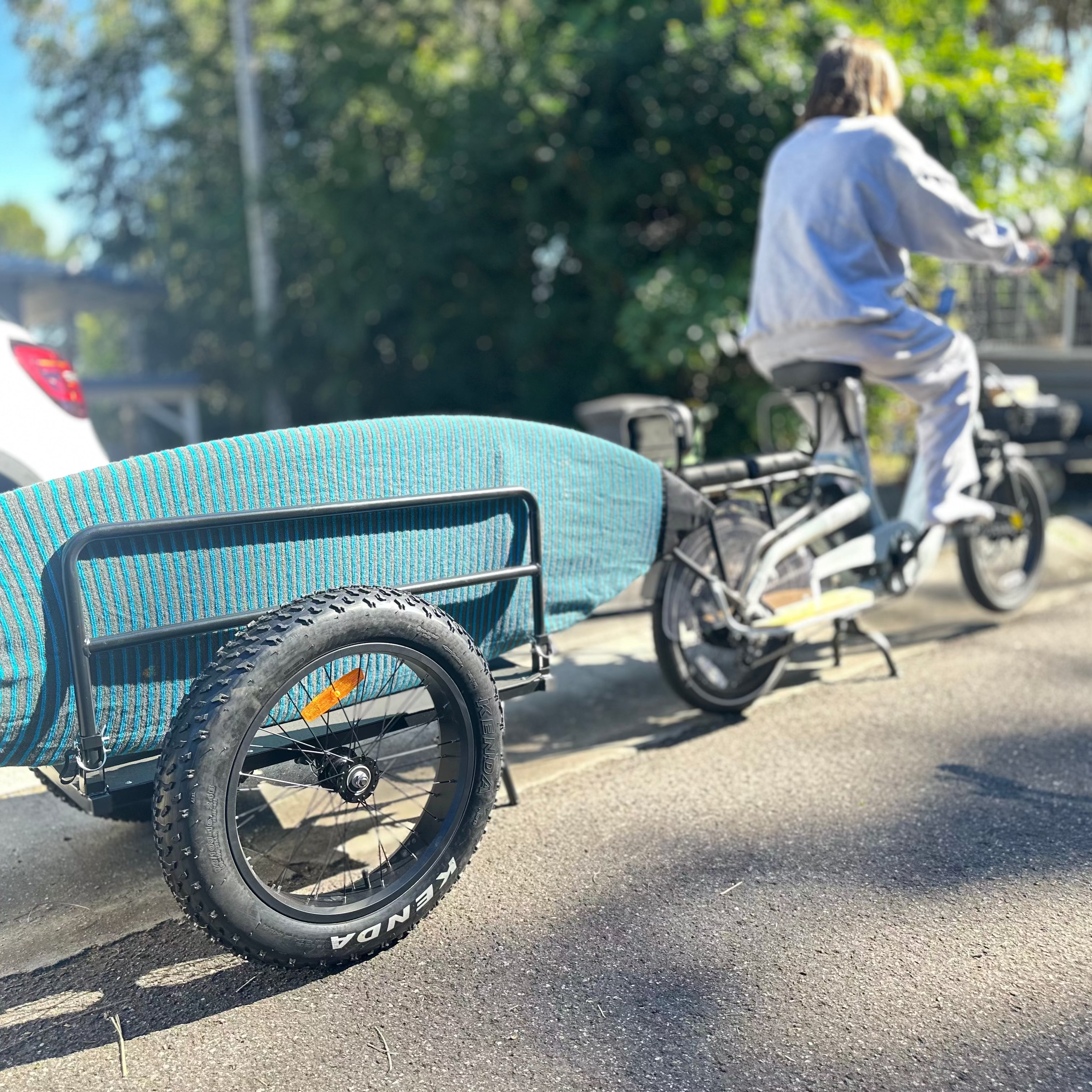 Wild E-Bike Trailer