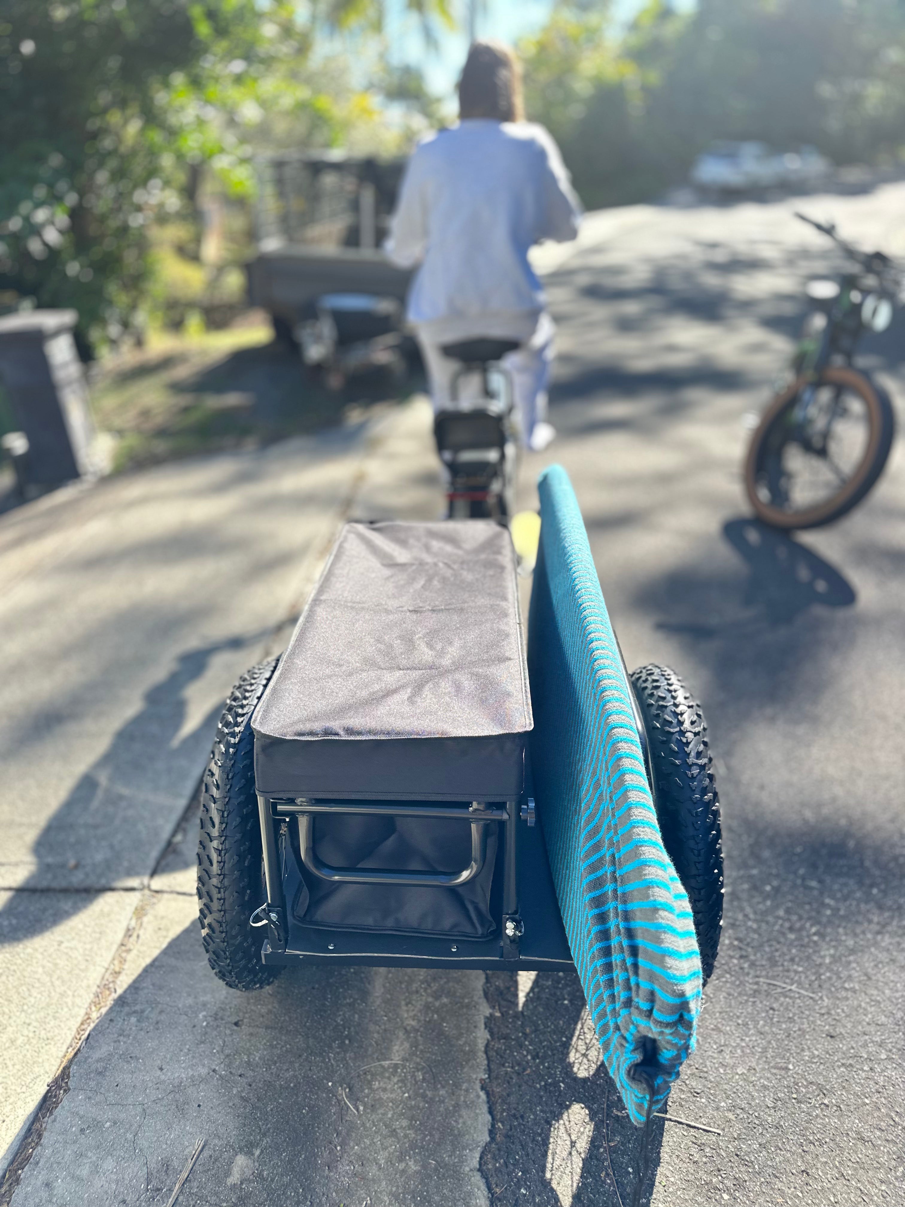 Wild E-Bike Trailer