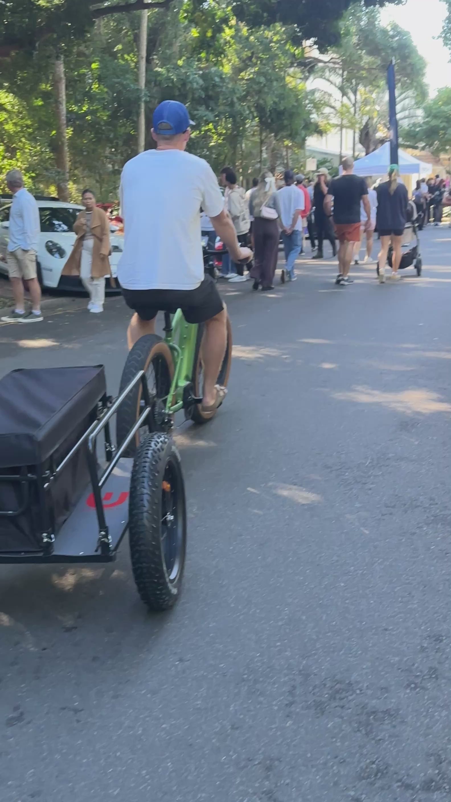 Wild E-Bike Trailer